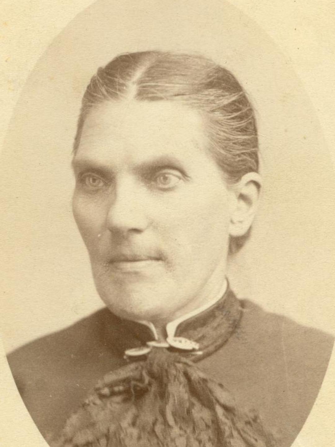 Mary Ann Lewis (1833 - 1891) Profile